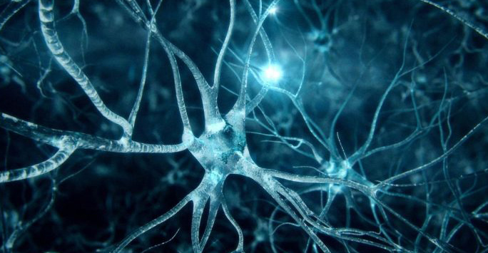 Neurology