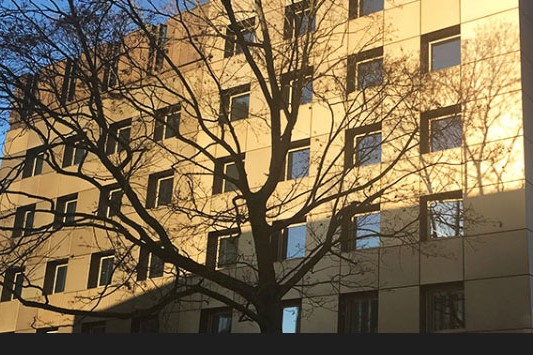 photograph of the SLSJ building