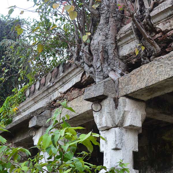 An overgrown temple building