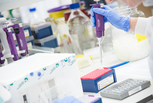 Image of lab