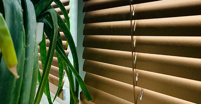 Closed blinds and plant - photograph by Rina Samarets on Unsplash