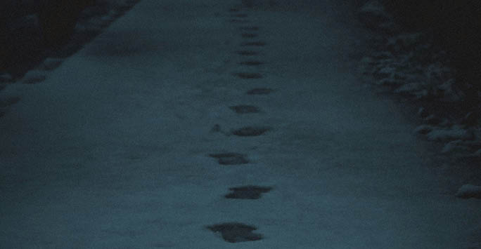 Footprints in the snow