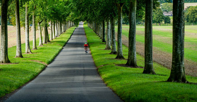 Someone riding a bike.