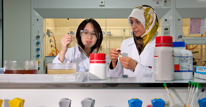 Two scientists working in a laboratory.