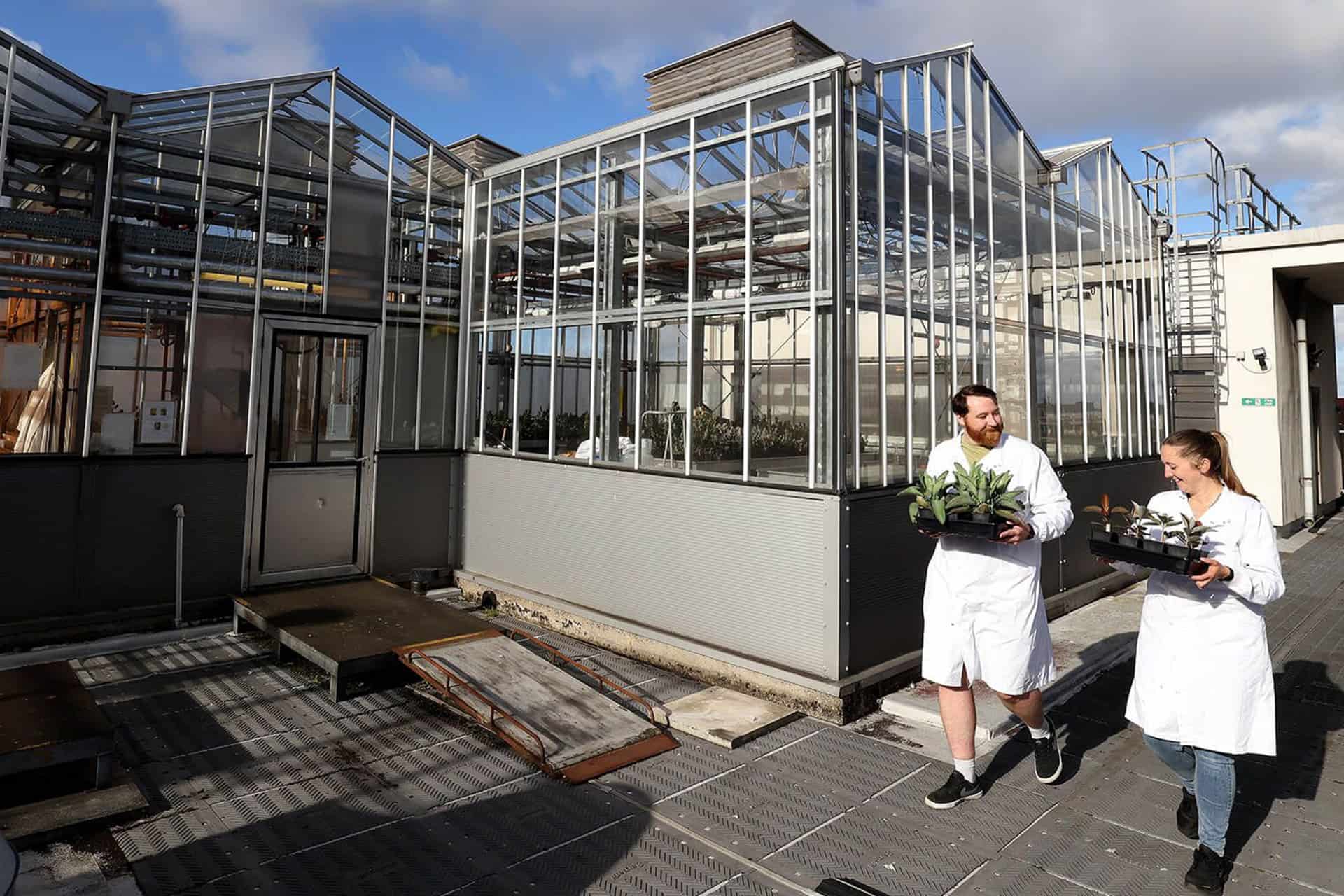 Greenhouse