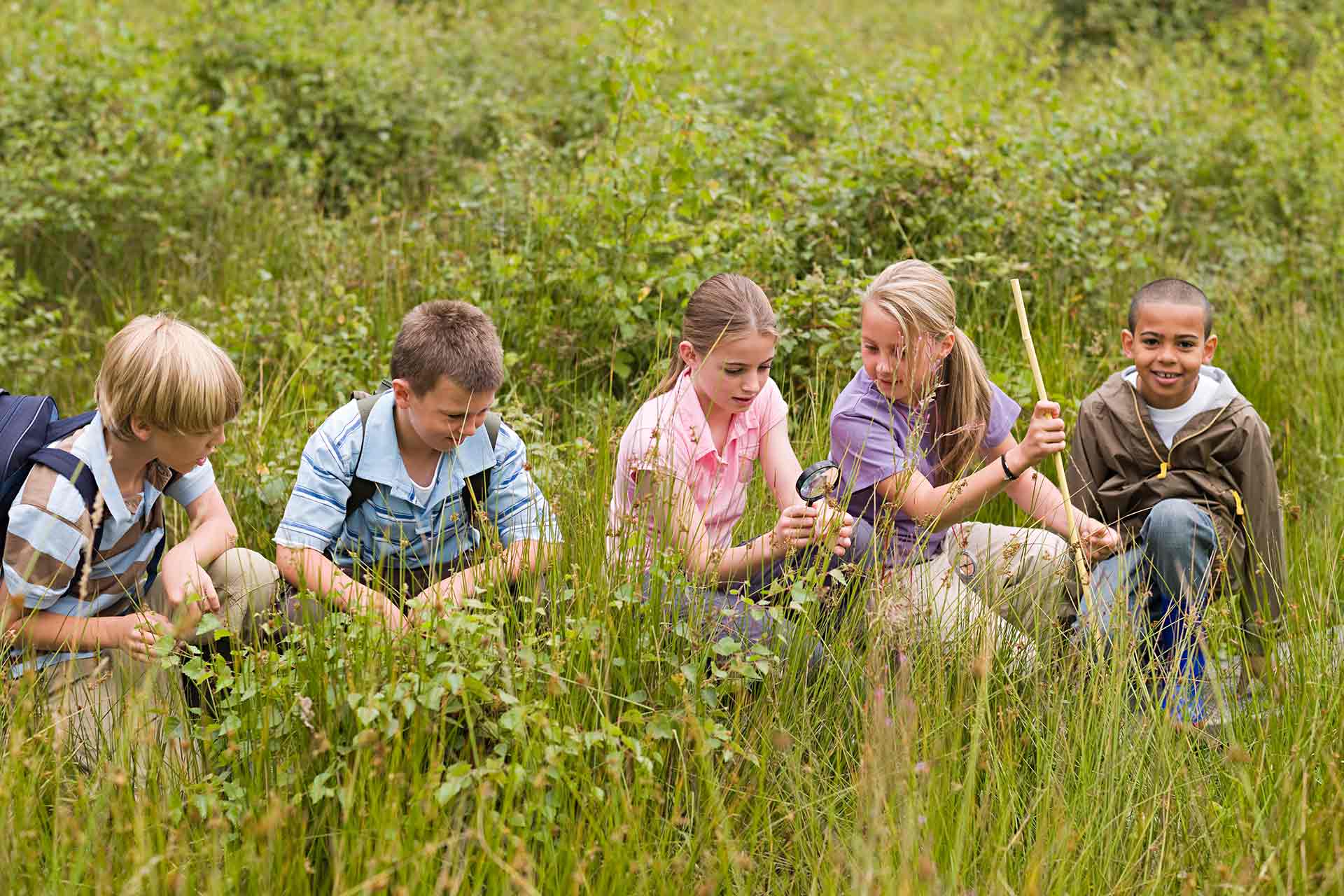 Five children in long grass, studying the flora.