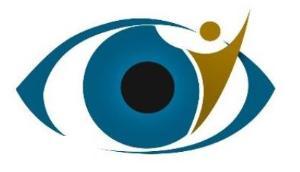 BIVI logo