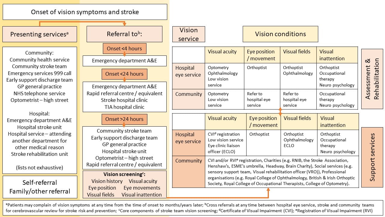 Figure - care pathway