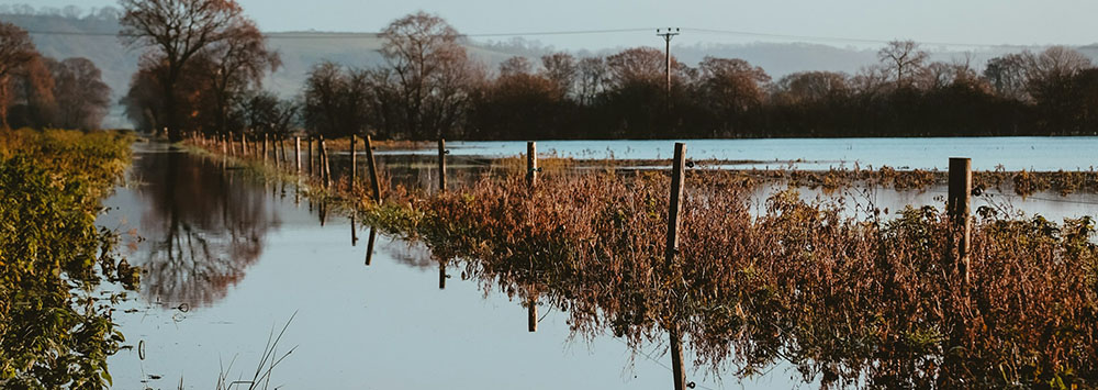 Flooded road on the Somerset Levels by helloimnik on Unsplash