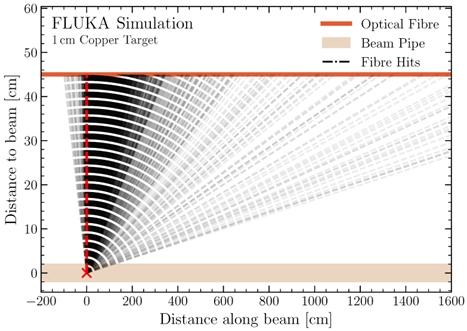FLUKA simulation