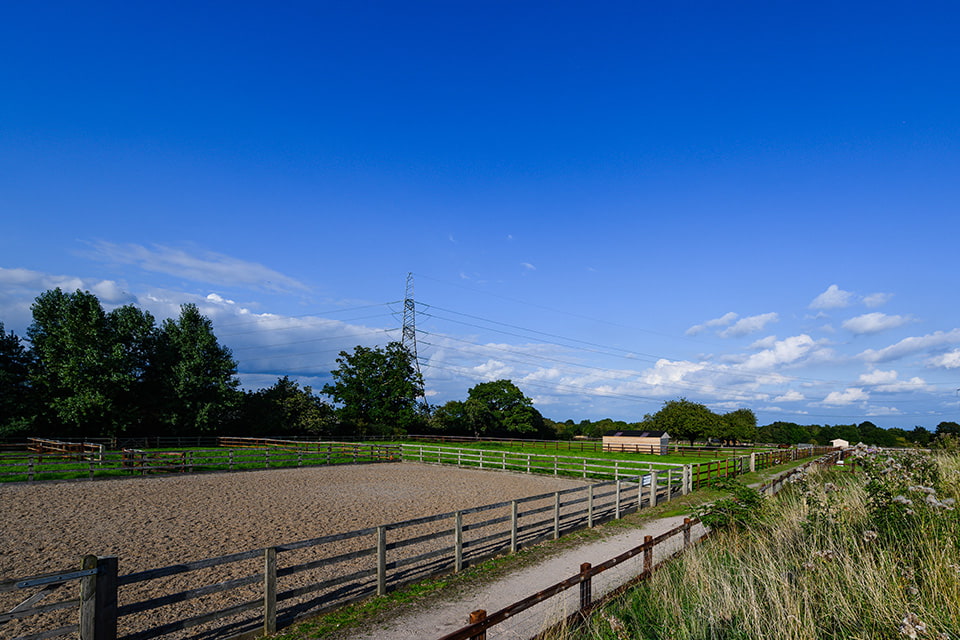 Field shelter for horses at Leahurst campus