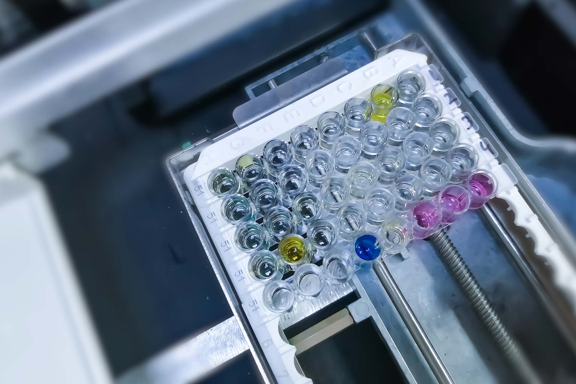 Enzyme-linked immunosorbent assay (ELISA) plate, Immunology or serology testing method in medical laboratory