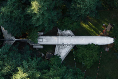 An aeroplane parked in a forest