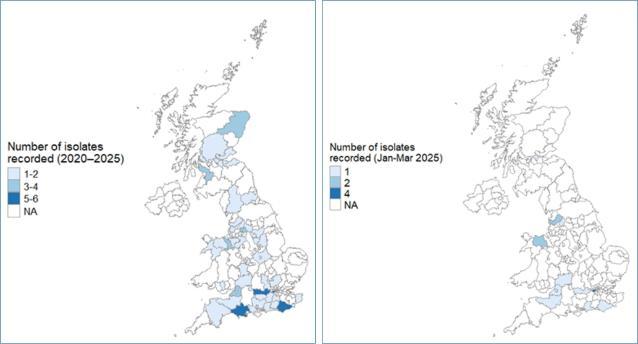 maps showing cases are spread across the UK.