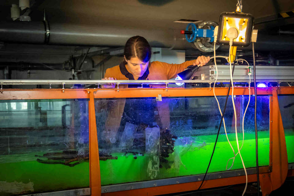 Woman looking into hydraulics tank