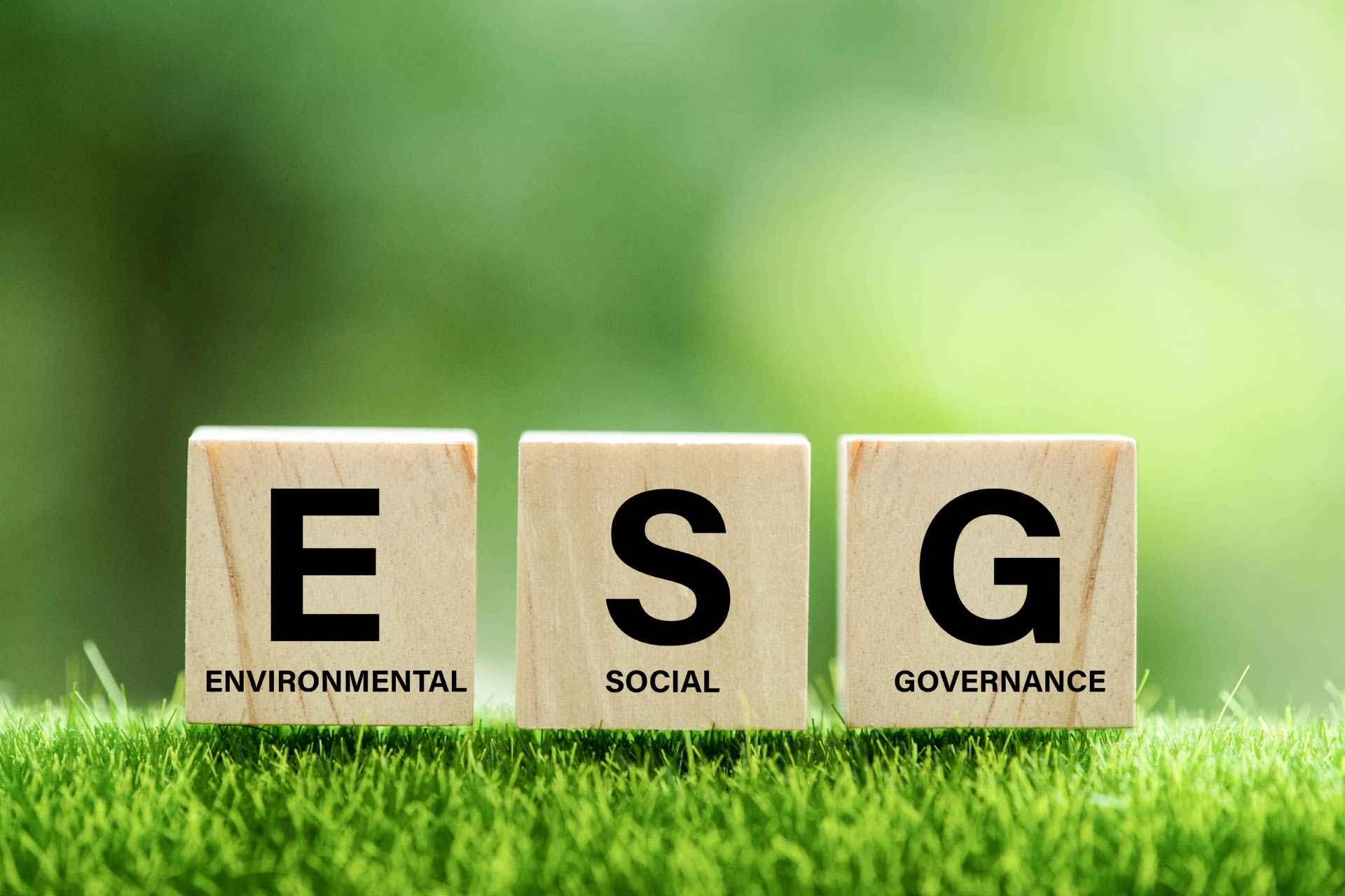 Concept image - Environmental Social and Governance ESG dices on grass