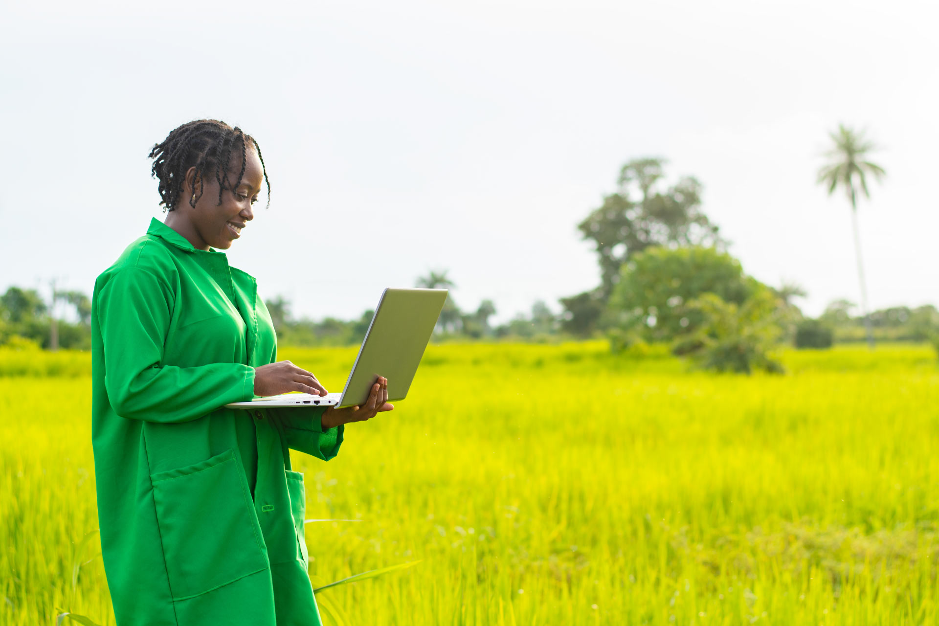 Young female African farmer working on her laptop