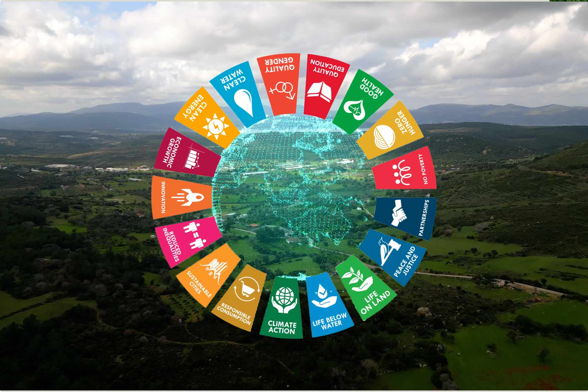 Wheel with United Nations Sustainable Development Goals with forest in the background