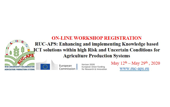 RUC-APS Workshop, 12-29 May