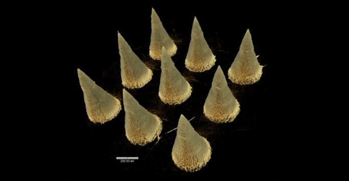 An array of nine cone-shaped microneedles
