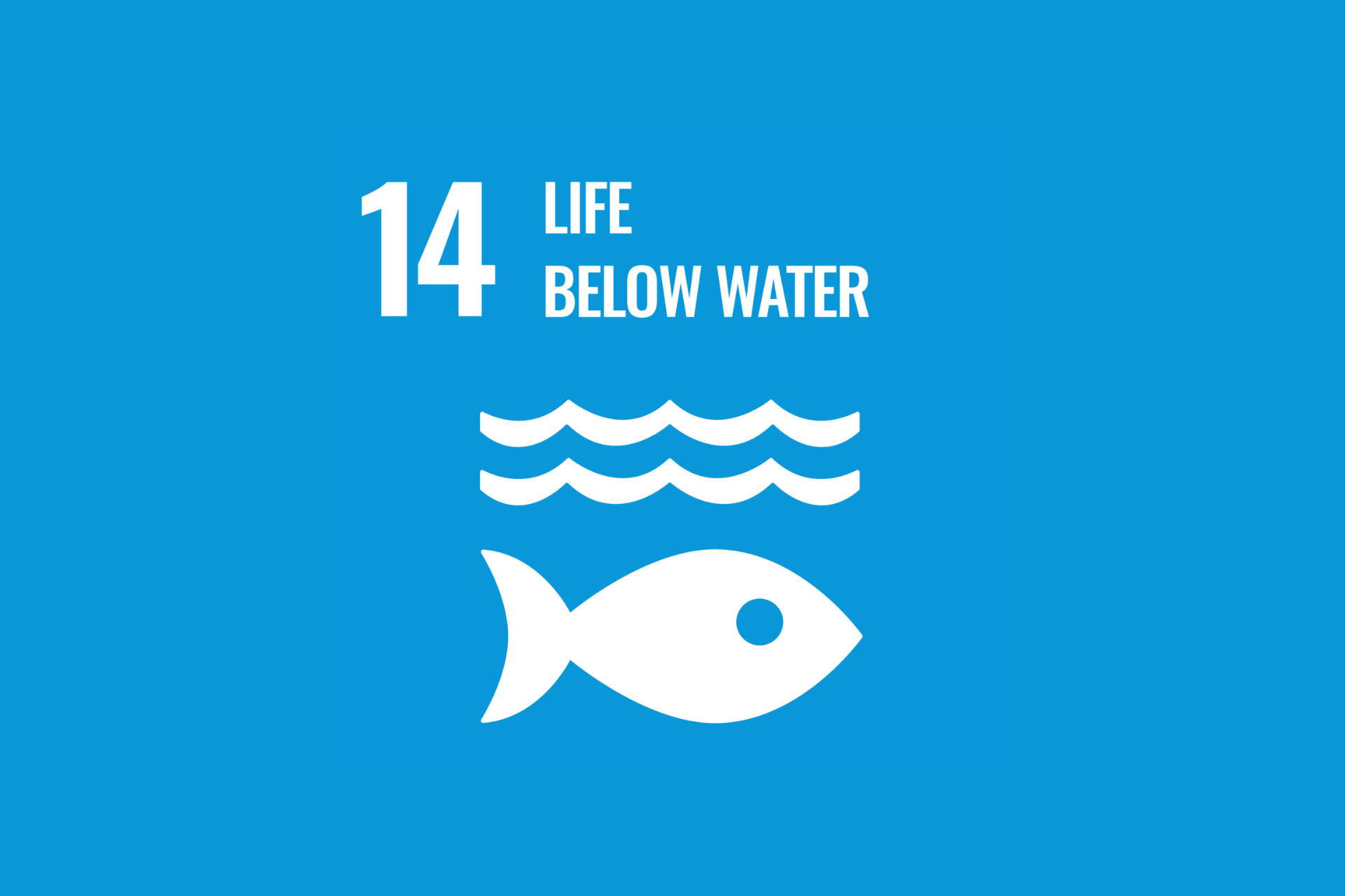 An icon of a fish below water with the text, 