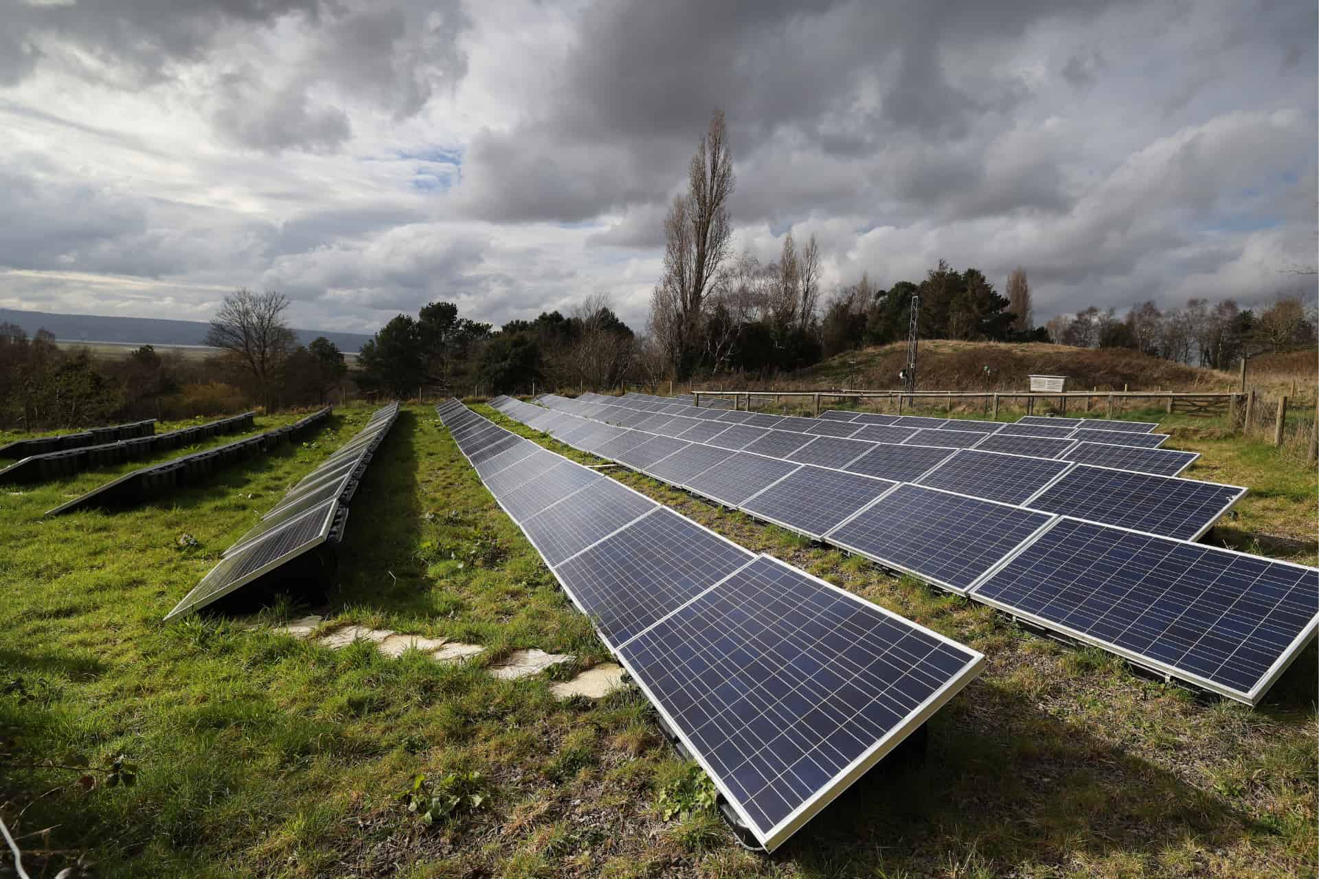 Solar panels in a grassy field.