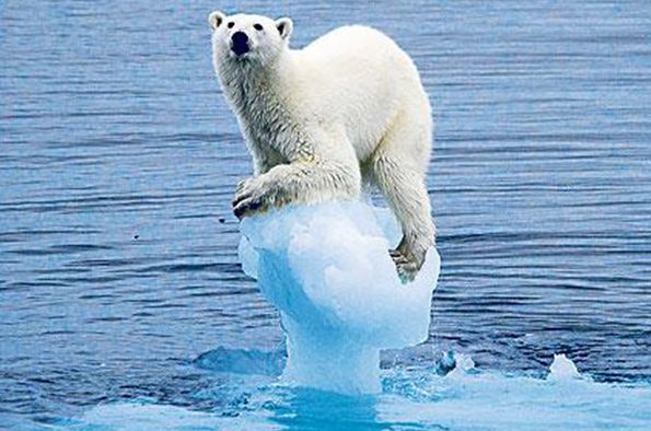 climate change