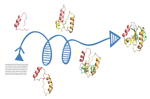 Protein structure diagram