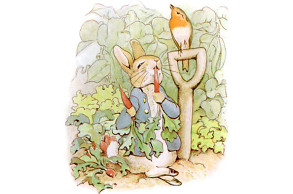 Peter Rabbit