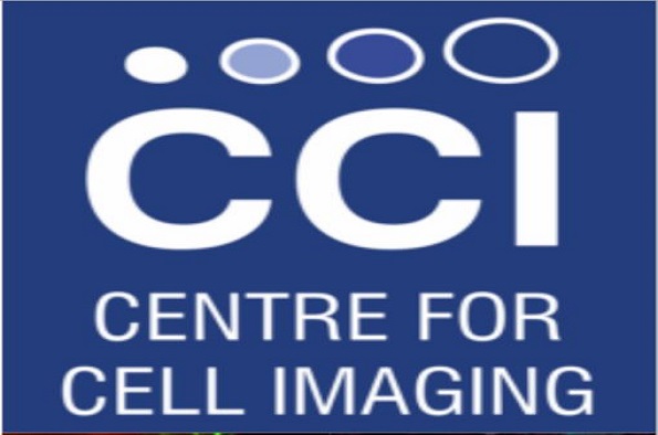 CCI