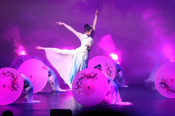 Chinese Cultural Artistic Performance