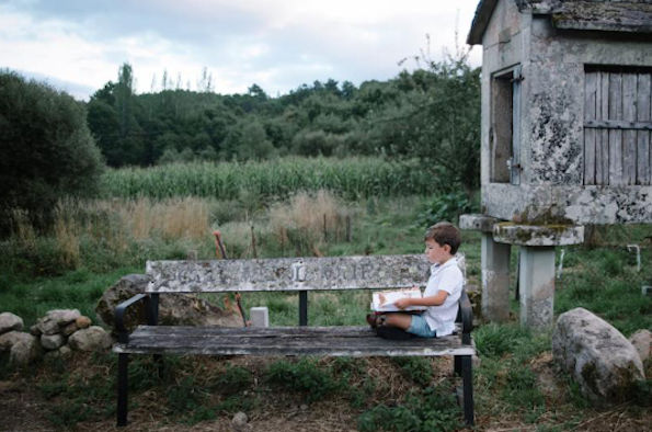 A boy reading a book