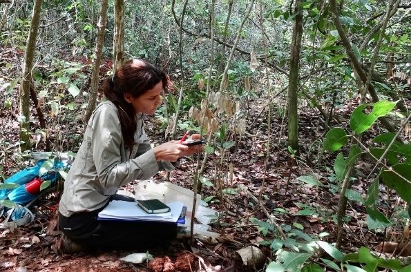 Image of Dr Alejandra Pasual-Garrido in woodland.