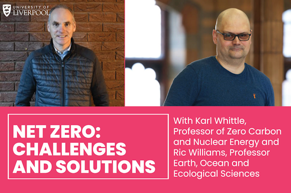 Net zero