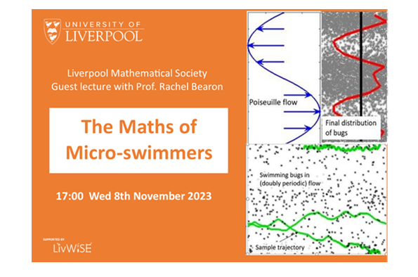 The Maths of Micro-swimmers