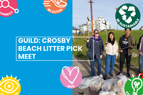 Litter pick