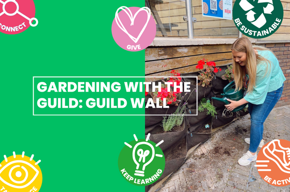 Guild wall