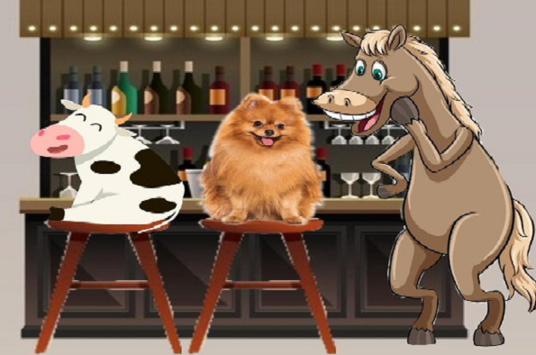 animals at the bar