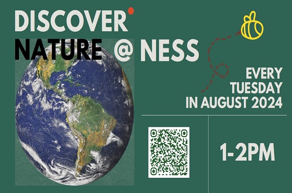 ness image