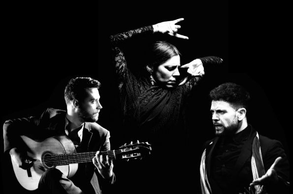 Daniel Martinez Flamenco