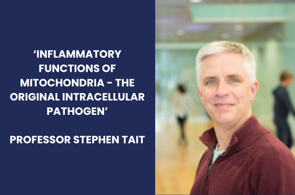 Professor Stephen Tait