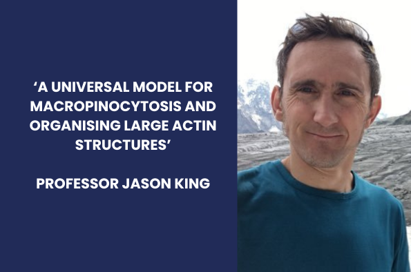Professor Jason King