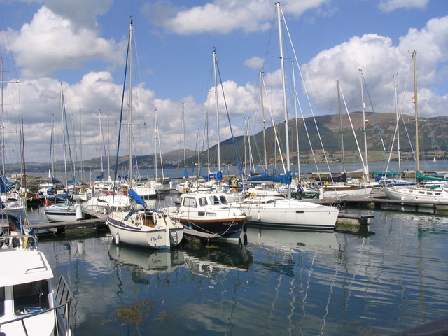 Carlingford Marina