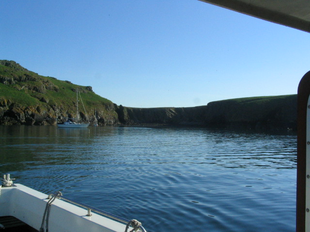 Skomer South Haven