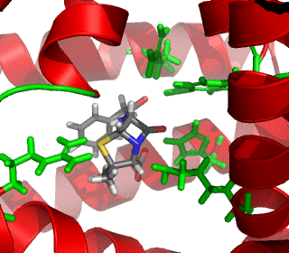 Best docking pose of compound into active site of protein